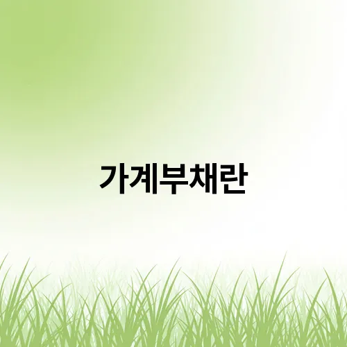 가계부채란