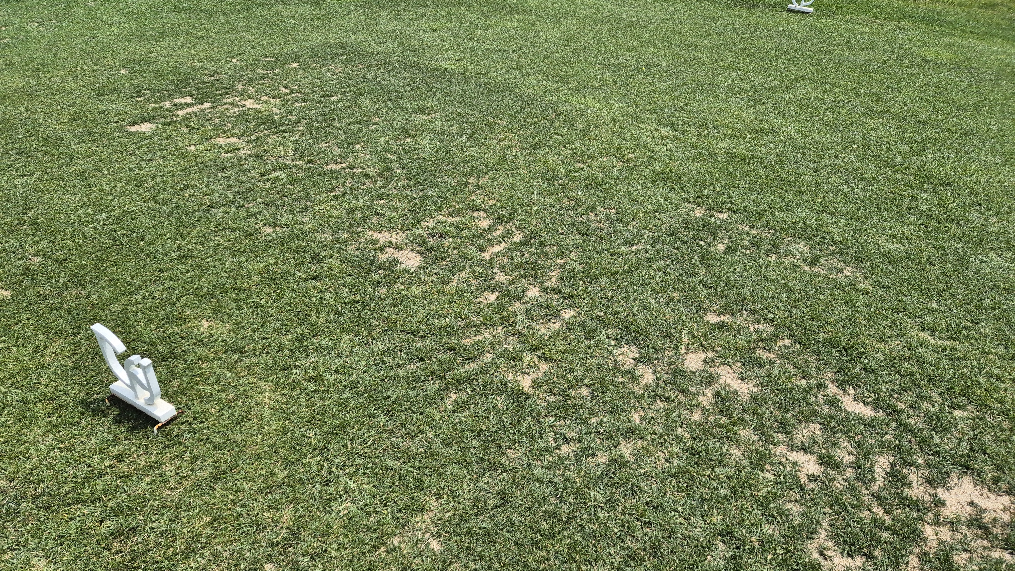 파인리즈cc 라운드 후기