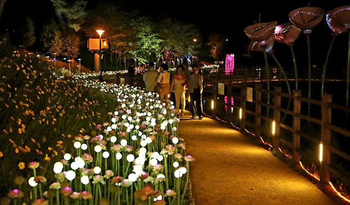 장미축제 야간 조명