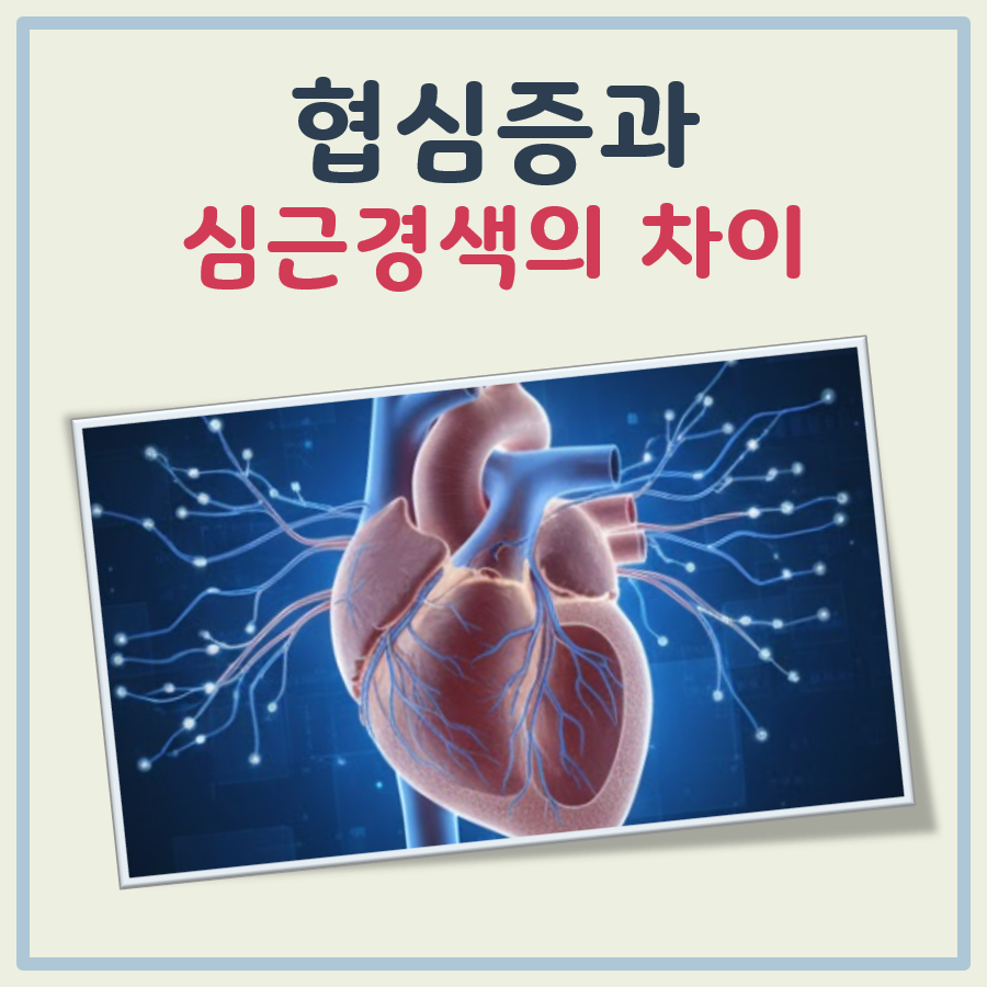 협심증과 심근경색의 차이 대표 이미지
