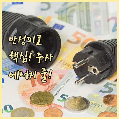 미토콘드리아 활성: 만성피로 주사 핵..