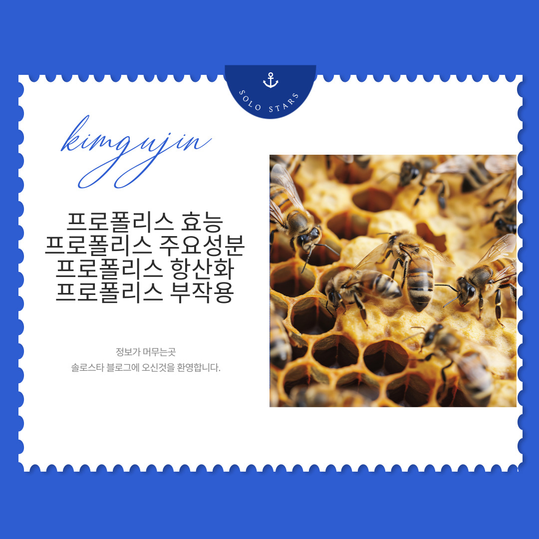 프로폴리스 사진