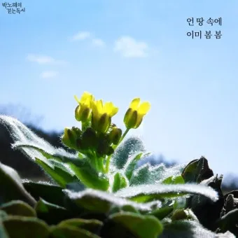 봄비 인사말 이미지 비오는날 일러스트_13