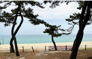 2024 강원도 해수욕장 개장일 추천 BEST 7