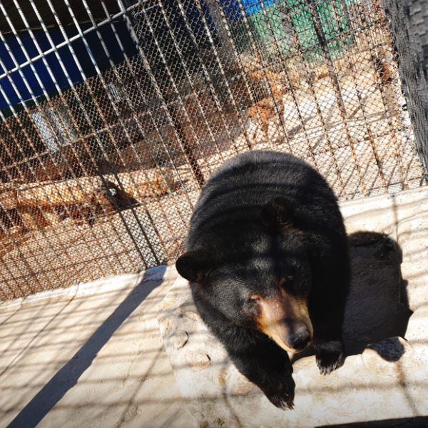 강릉쌍둥이동물농장