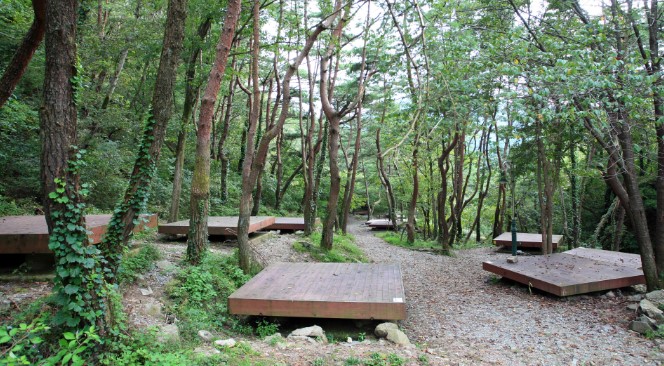 오도산 자연휴양림(4)