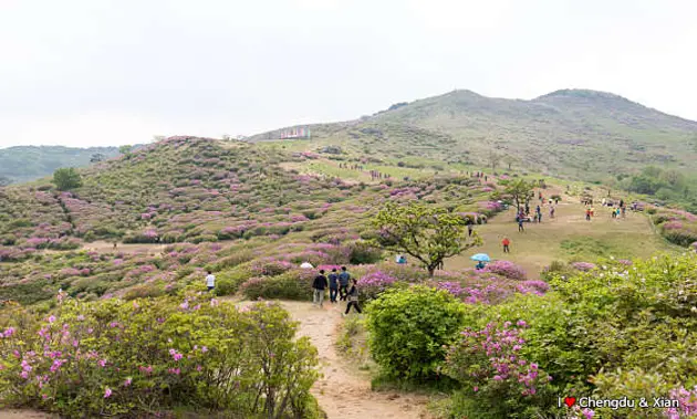 황매산