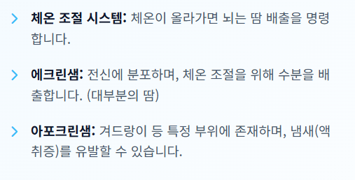 땀이 많이 나는 이유