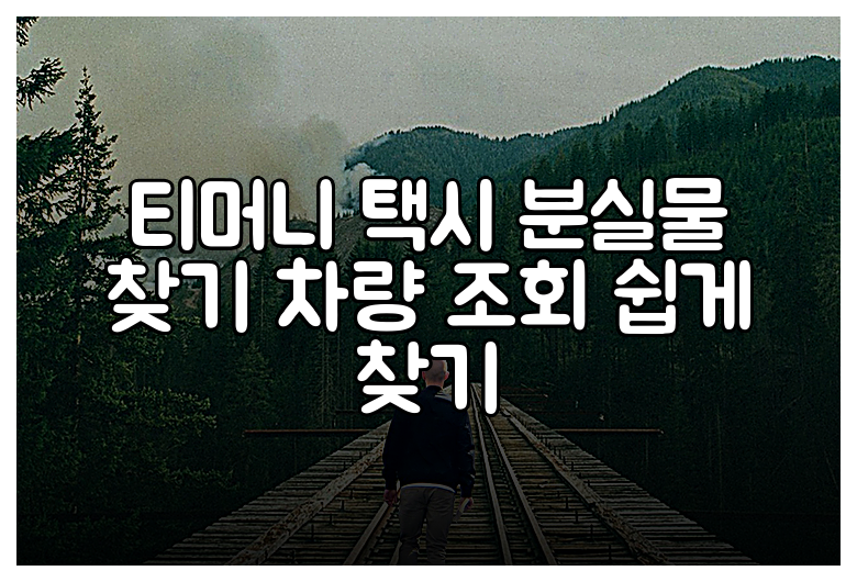 티머니 택시 분실물 찾기 차량 조회 쉽게 찾기