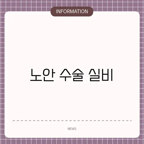 노안 수술 실비