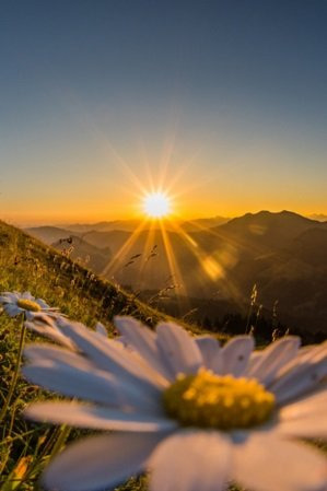 청년도약계좌 금리