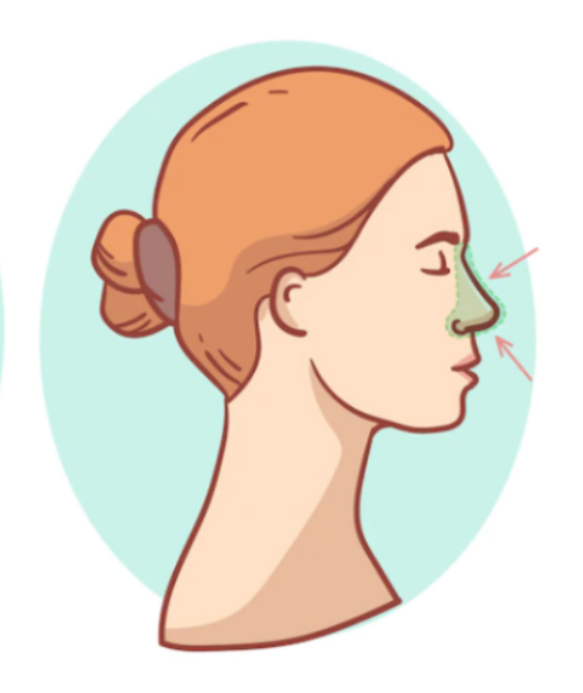 슈다페드정 효능