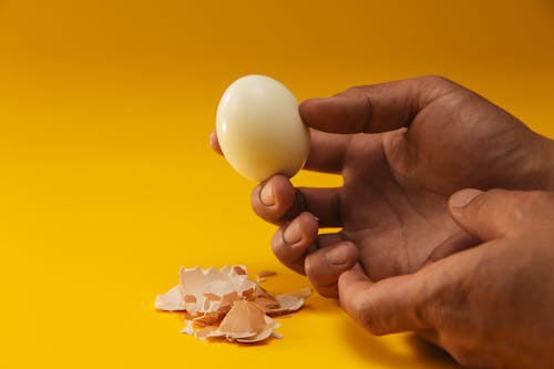 🥚 삶은 계란의 모든 것! 건강하게 섭취하는 방법 1탄🌟
