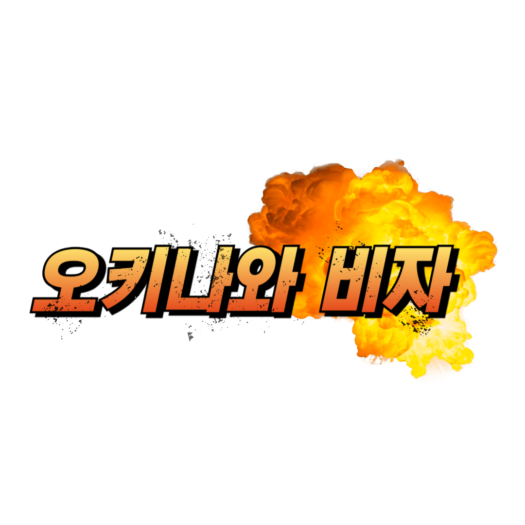 오키나와 비자