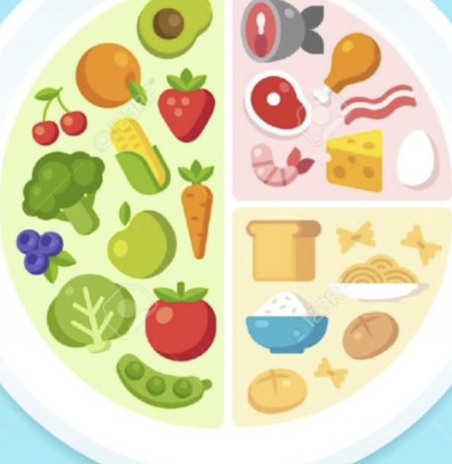 여름 다이어트 식단: 2주 만에 체중 감량 성공하는 비법과 건강한 레시피