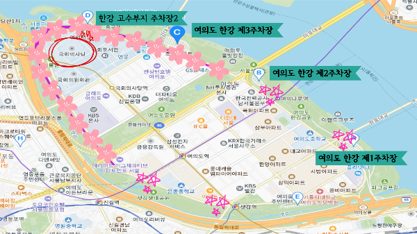 벚꽃 코스
