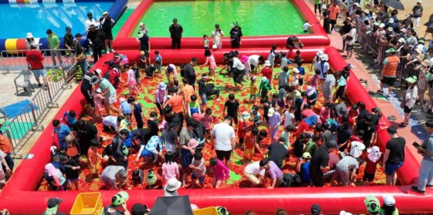 퇴촌토마토축제