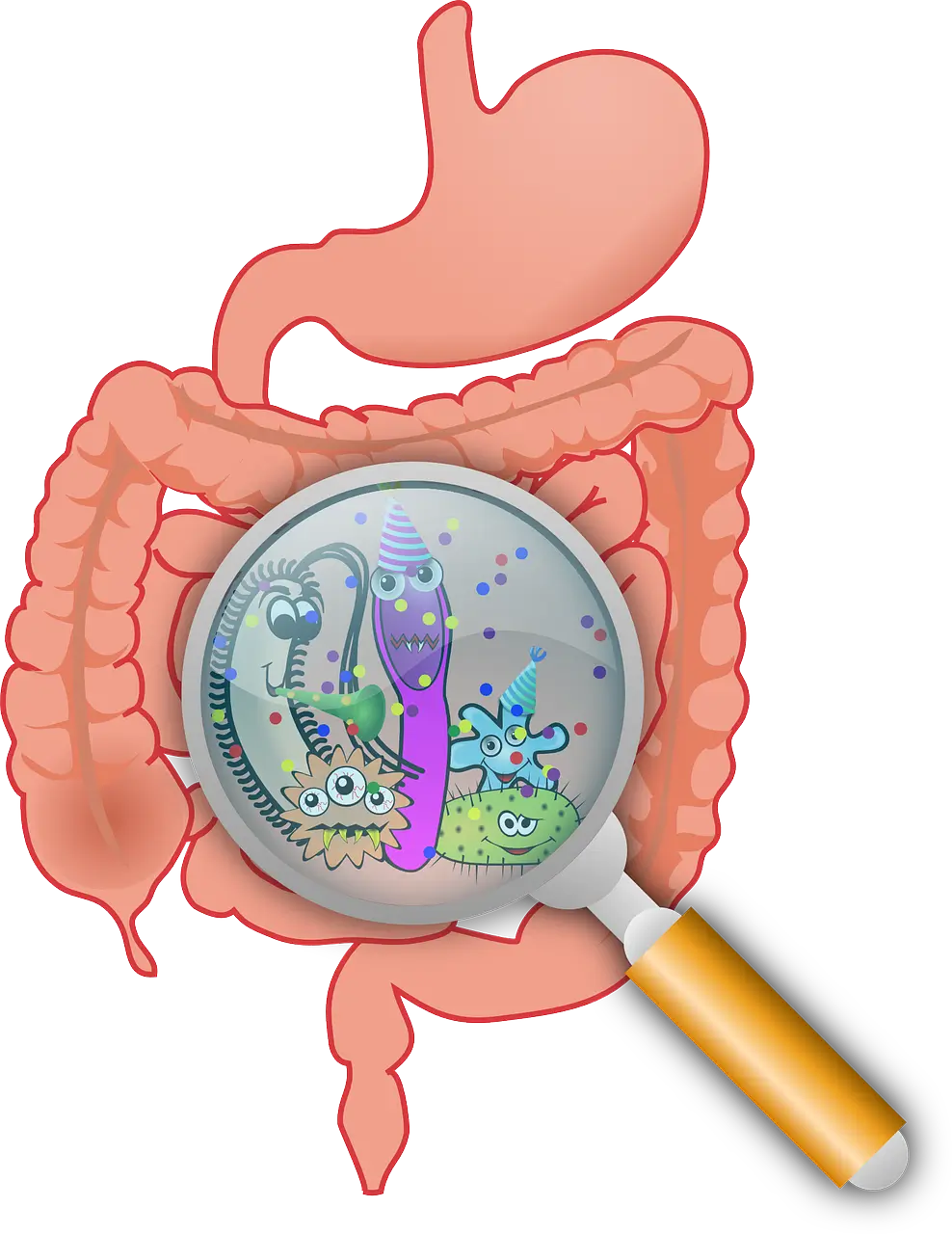장 건강과 프로바이오틱스: 유익균의 역할