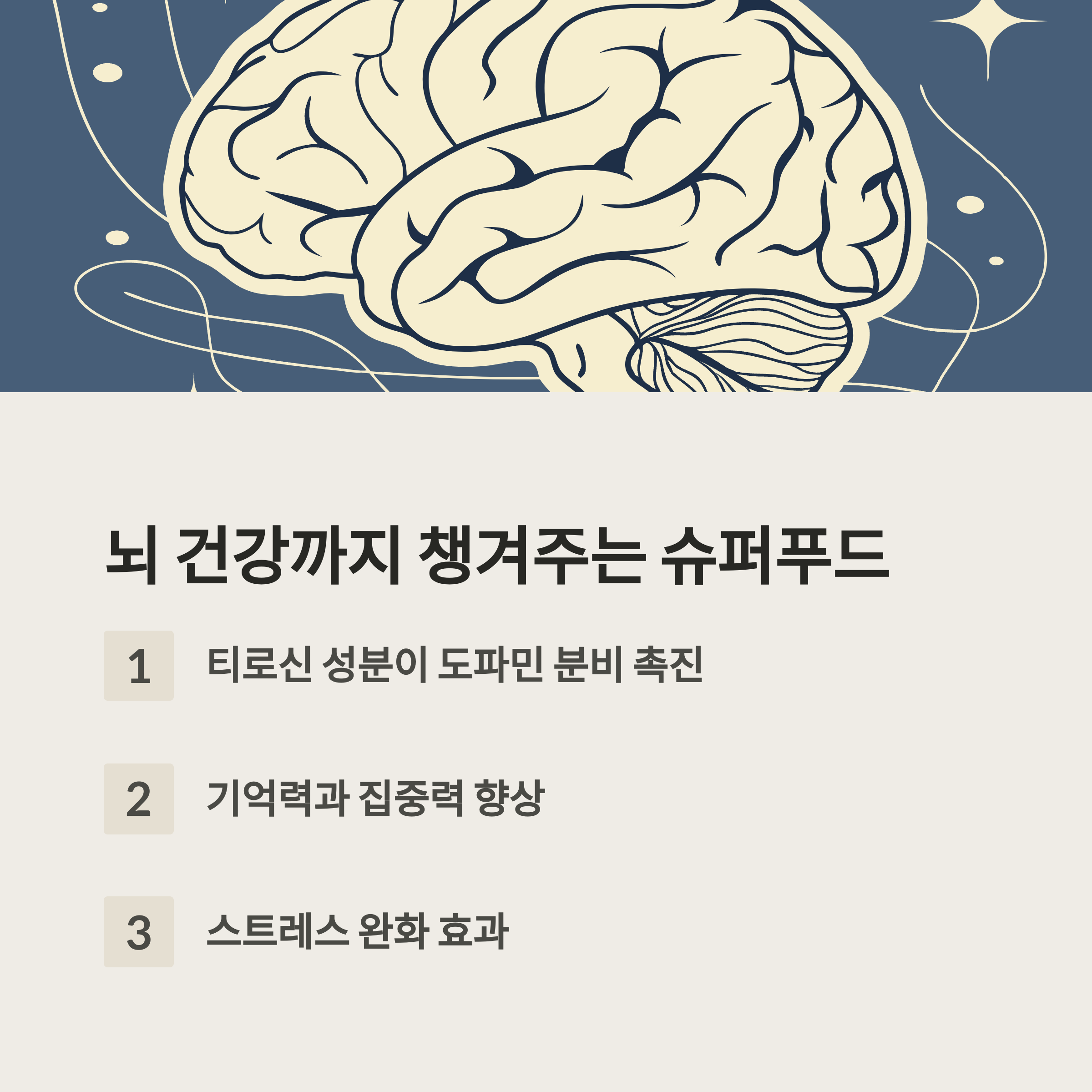 뇌 건강과 정신 안정에도 기여