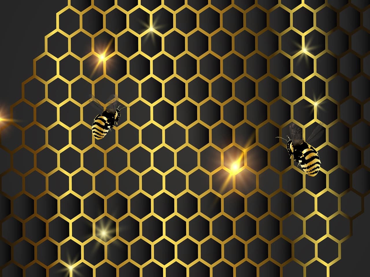 벌꿀 시장과 무역구조