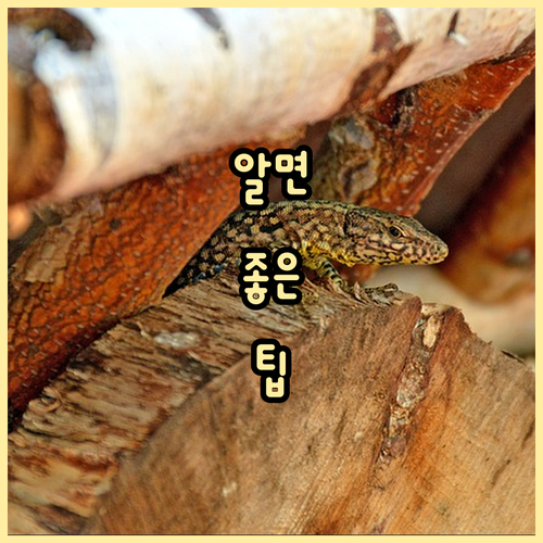 실손보험 자기부담금 정확한 계산법 예..