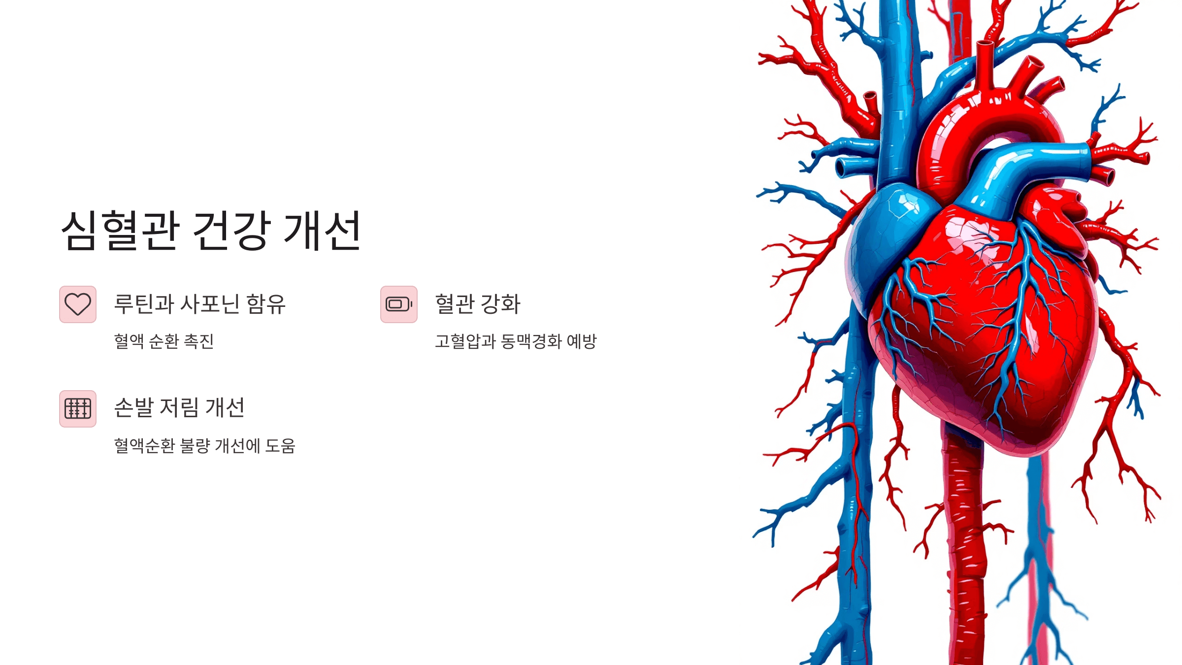 마가목 사진입니다.