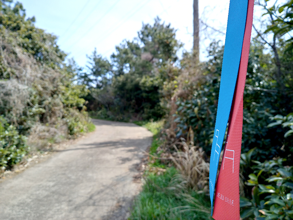 올레3A코스: 온평포구에서 표선올레까지