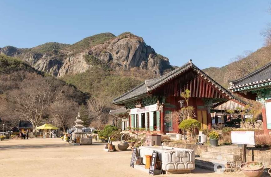 청송 가볼만한곳 베스트 10