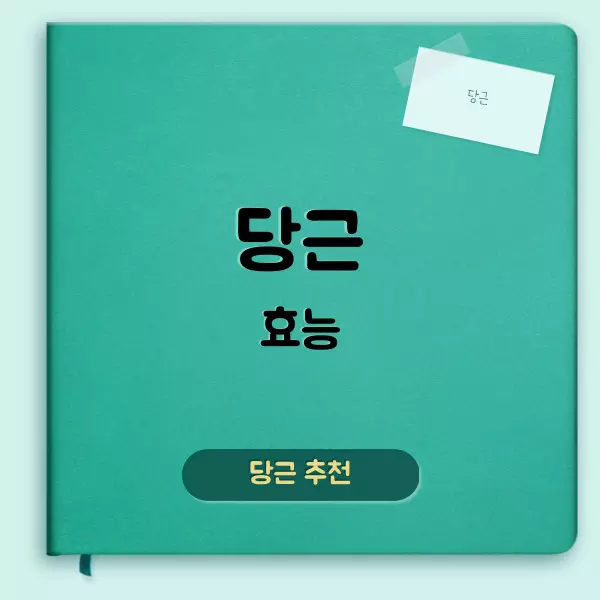 당근 효능에 대하여
