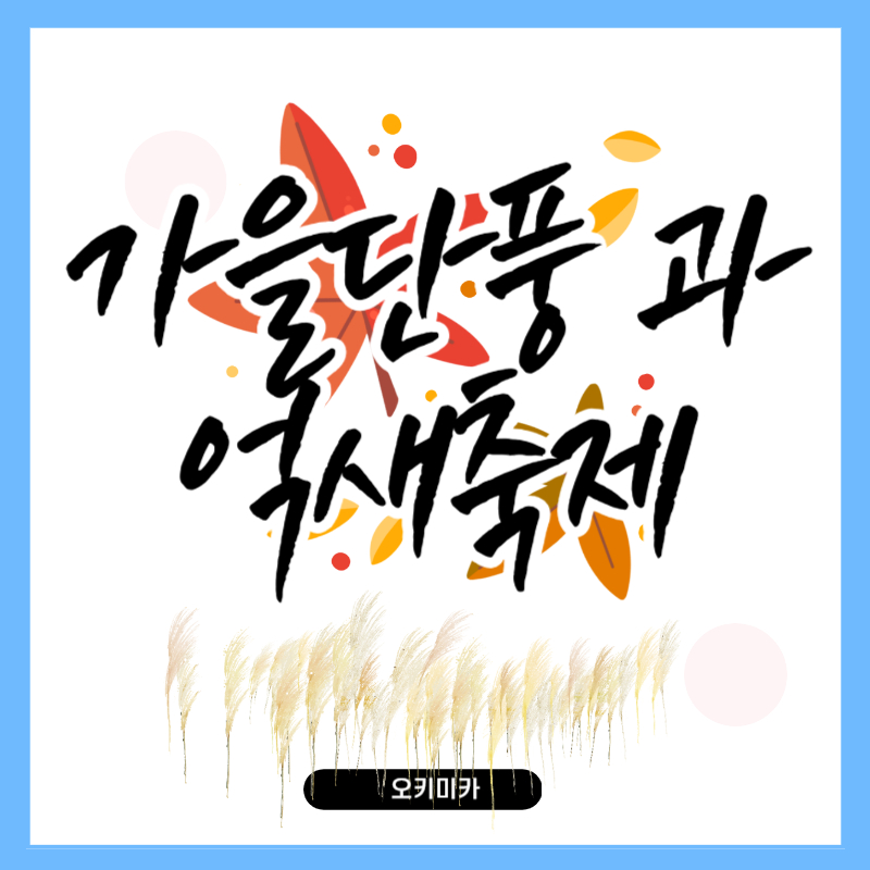 가을단풍과_억새