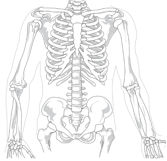 성장기 골격 발달에 유리