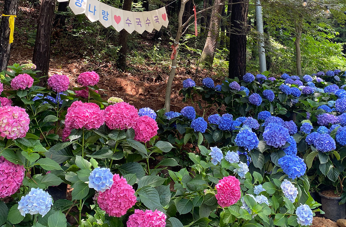 전남 강진 반값 여행 관광 할인 지원금 신청 방법