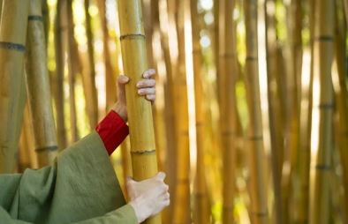 포스텔러 만세력 보는법&amp;#44; 해석 방법&amp;#44; 풀이 가이드