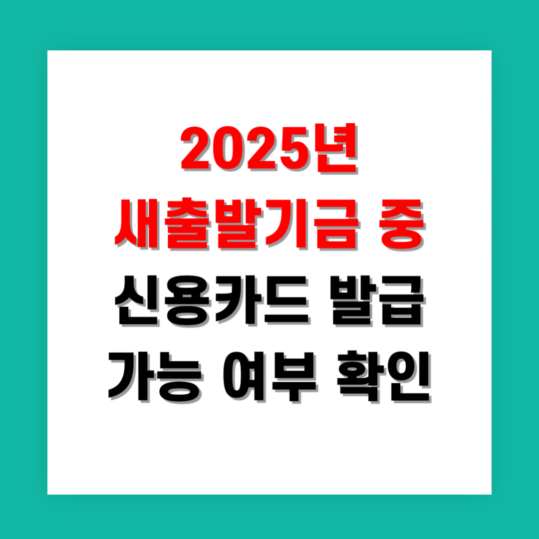 2025년 새출발기금 중 신용카드 발급 가능 여부 지금 확인