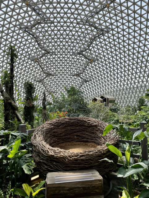 거제식물원의-핫플인-사진찍기-좋은-명소