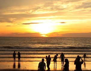 강원도 해수욕장 개장일