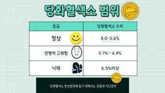 당화혈색소 정상치_14