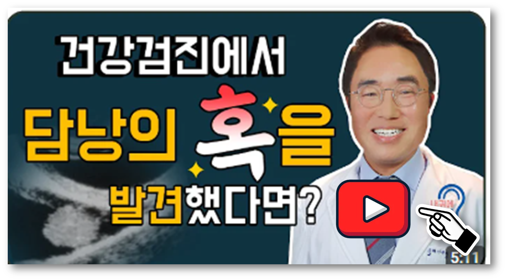 담낭 용종