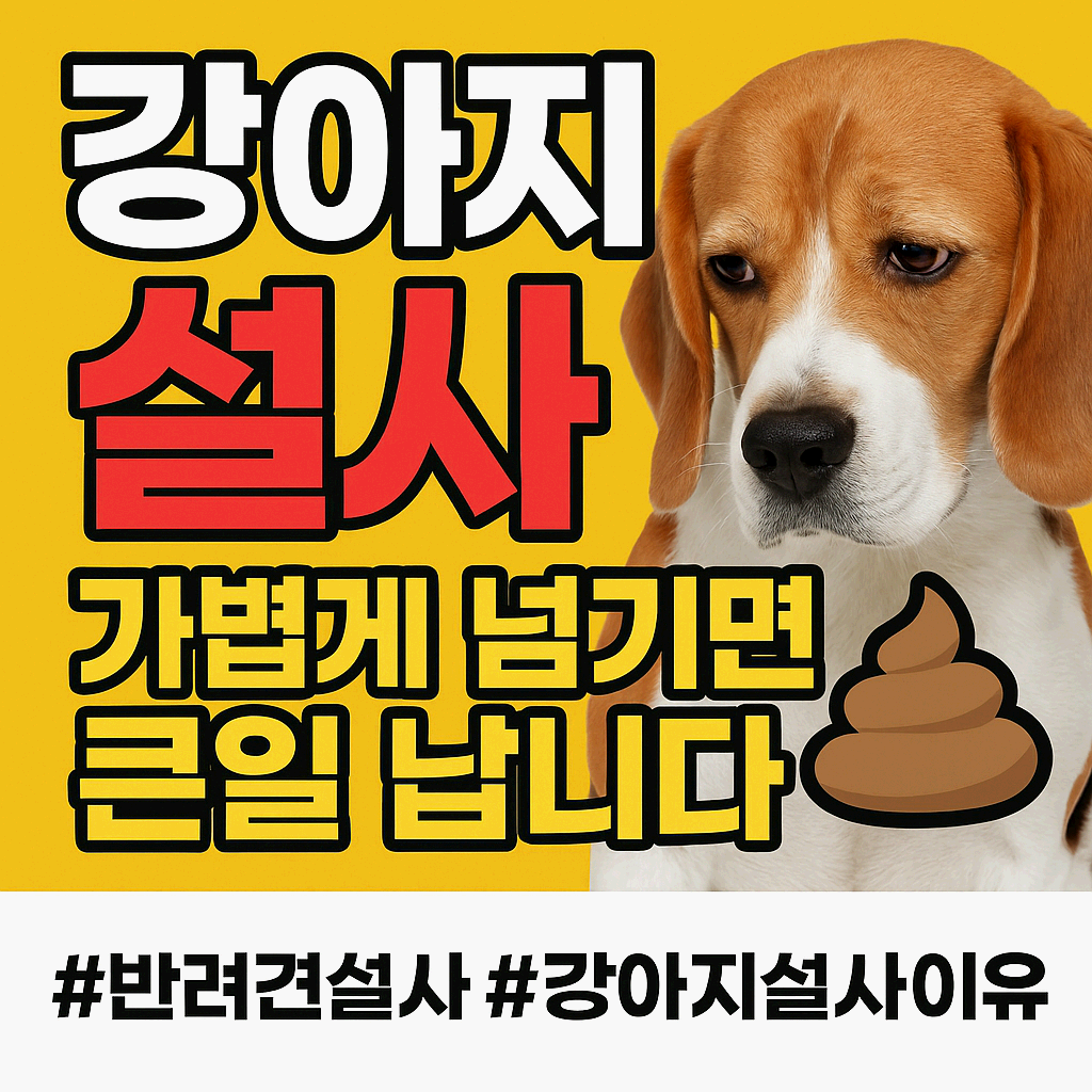 🐶 “강아지가 설사를 멈추지 않아요” 반려견 설사, 절대 가볍게 넘기지 마세요!