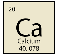 캴슘보충제를 같이 먹어도 건강에 이롭다.