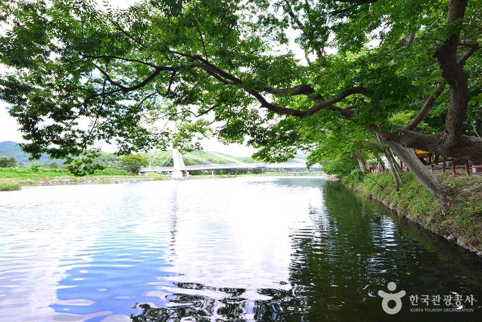 화순 연둔리 숲정이