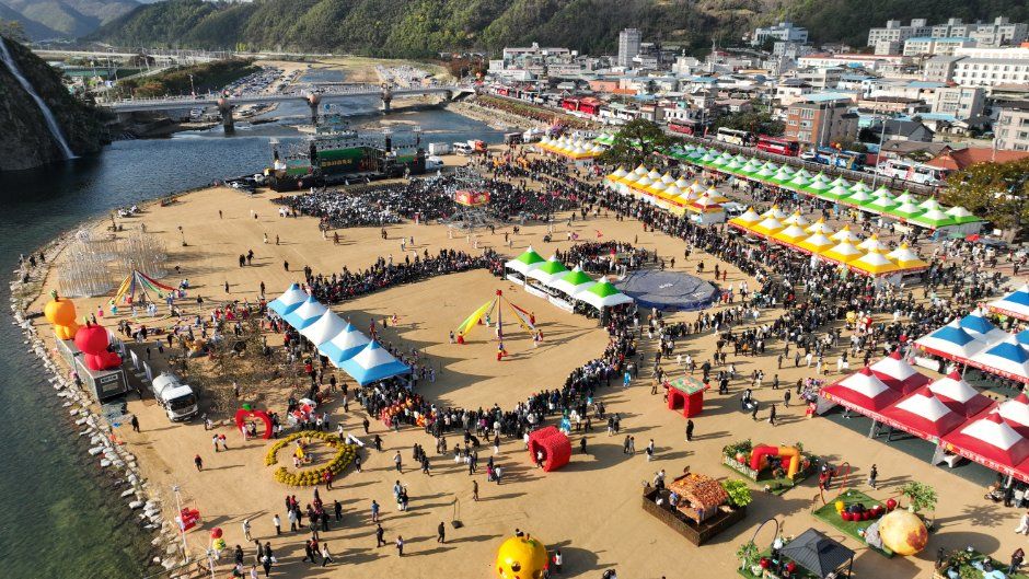 청송사과축제 2026 용전천 축제장 전경