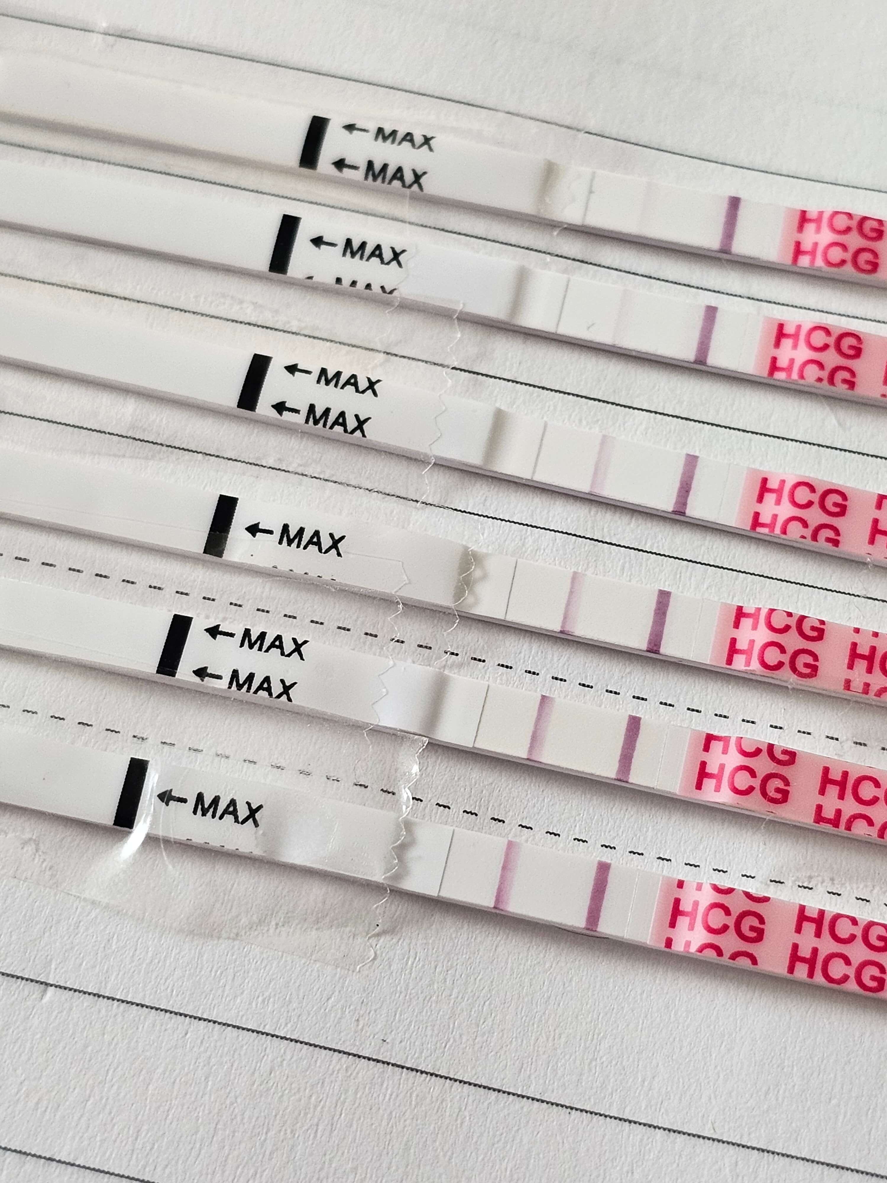 임신-3주차-임테기