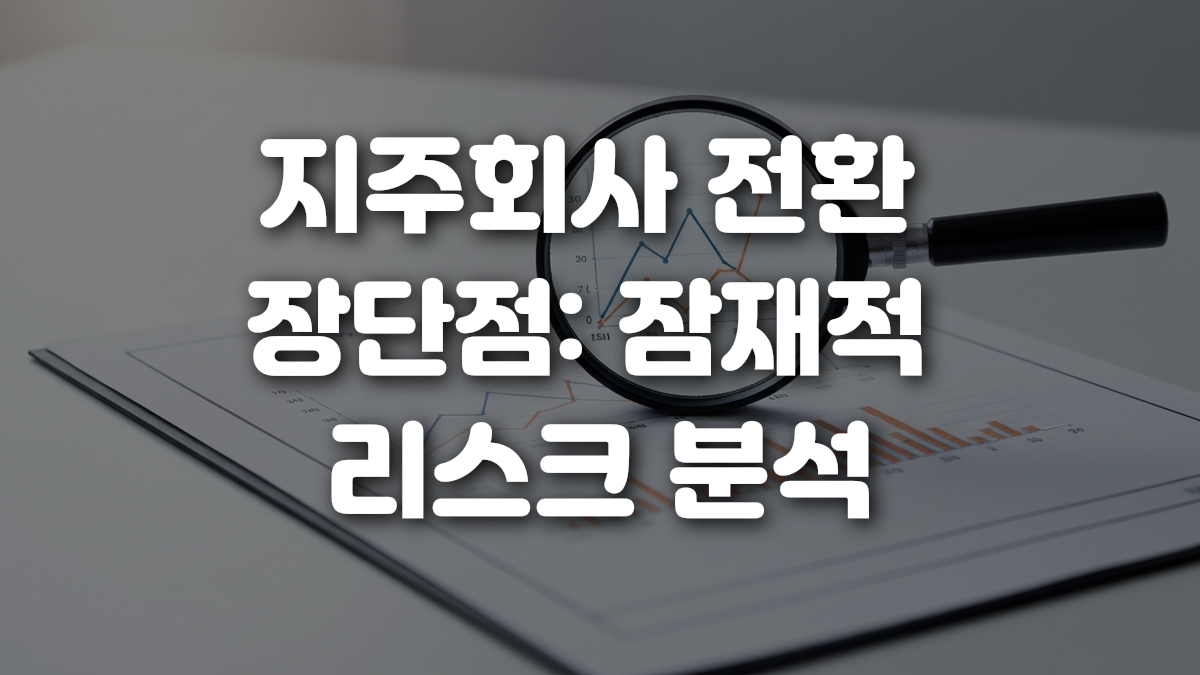 지주회사 전환 장단점 잠재적 리스크 분석