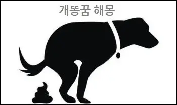 개똥꿈 해몽