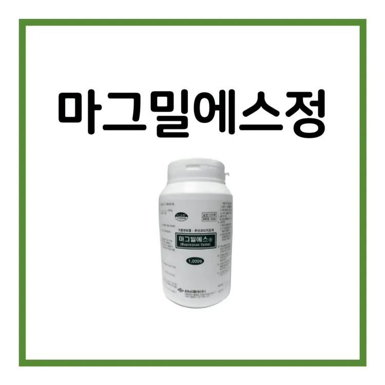 마그밀에스정-이미지