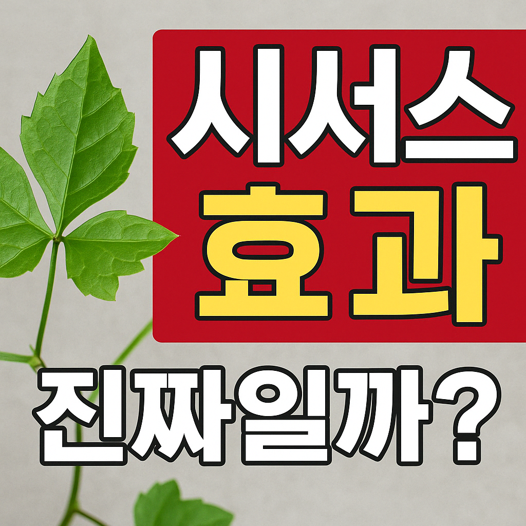 시서스-다이어트-부작용-효과-복용법