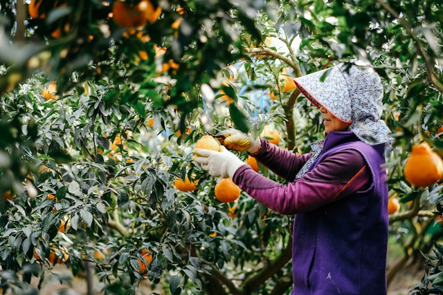 근로자 휴가지원사업 신청방법, 휴가샵, 직장인 휴가비 지원
