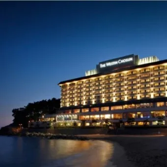 부산 웨스틴조선호텔 실제 투숙 솔직한 후기와 예약 팁_11