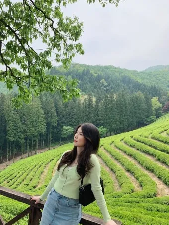 보성 가볼만한곳 베스트10 현지인 추천 필수코스_4